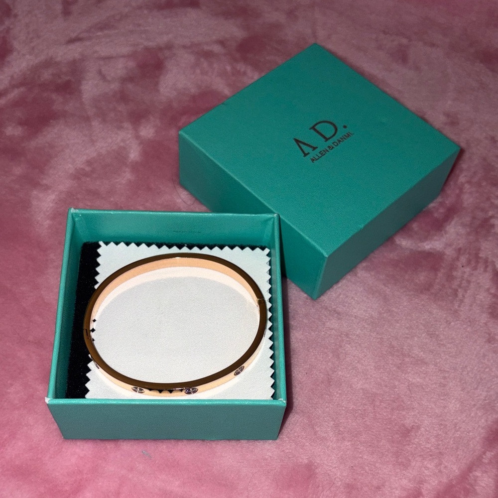 AD Allen & Danmi 18k Rose Gold Plated Love Bangle NWT - Picture 3 of 10